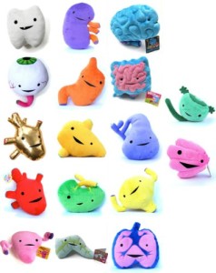 plush organs