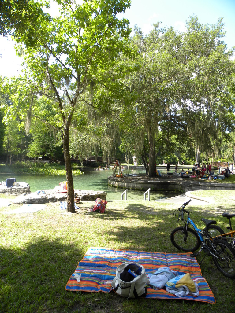 The springs at Kelly Park, Orange county parks, florida springs