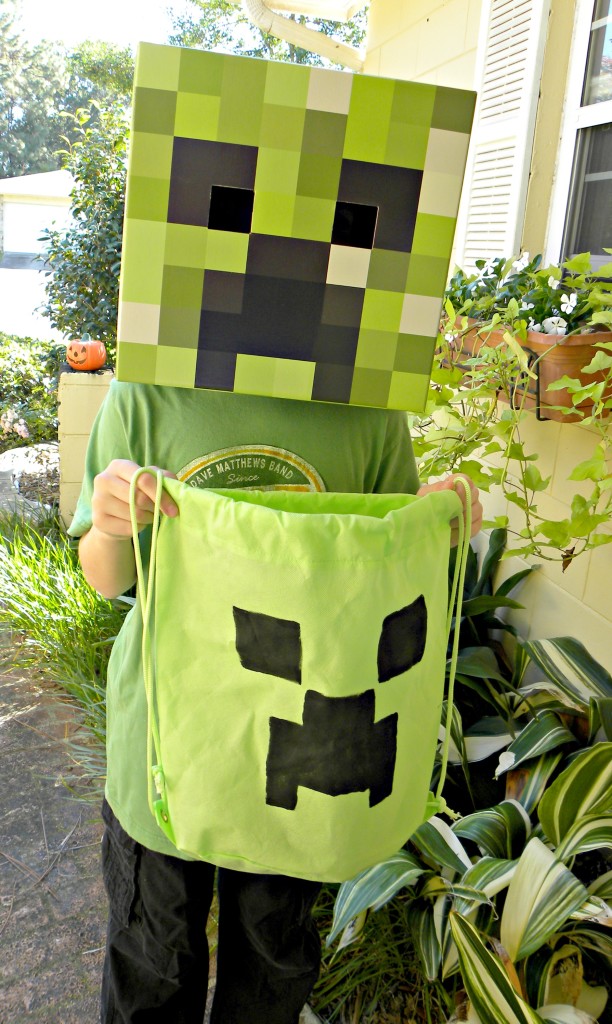 steve costume for kids - minecraft